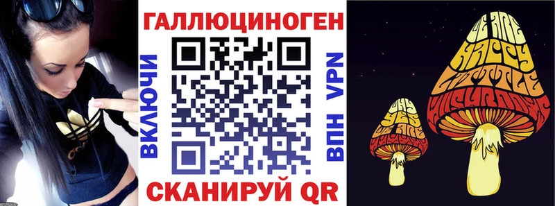 Купить закладки  Гаджиево  Галлюциногенные грибы Magic Shrooms 